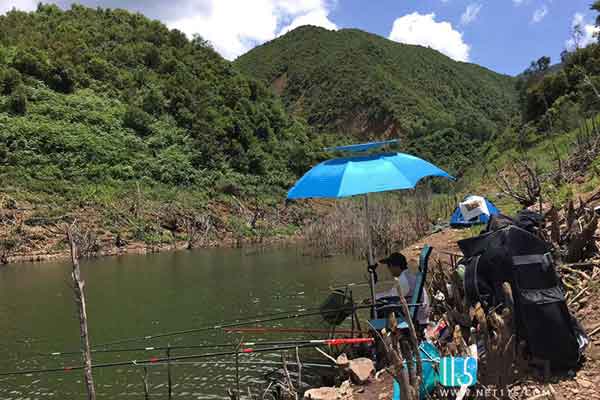 春季野钓鲤鱼如何看漂相解读，能读懂这些浮漂动作，抬竿基本中鱼。