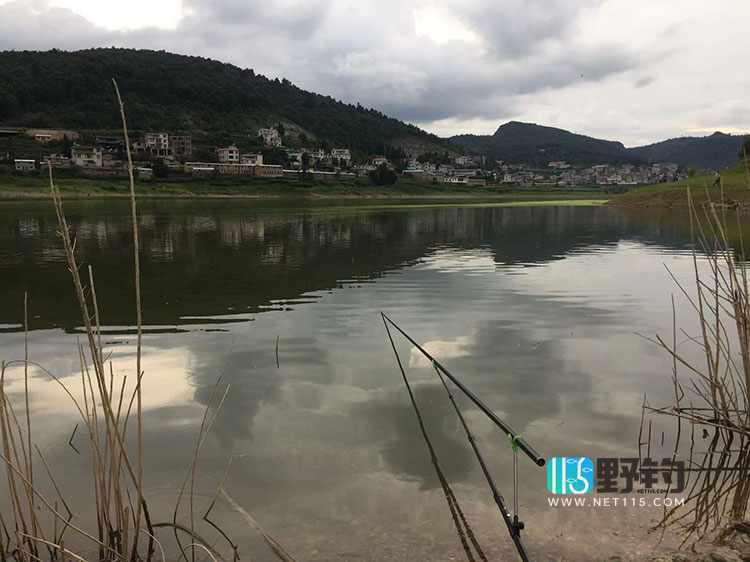 春季野钓鲫鱼技巧和方法（深浅钓位选择及最好饵料味型搭配）