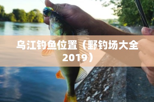 乌江钓鱼位置（野钓场大全2019）