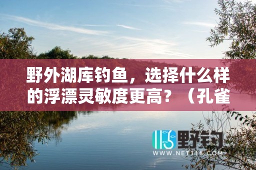 野外湖库钓鱼，选择什么样的浮漂灵敏度更高？（孔雀羽芦苇纳米自重浮力对比）