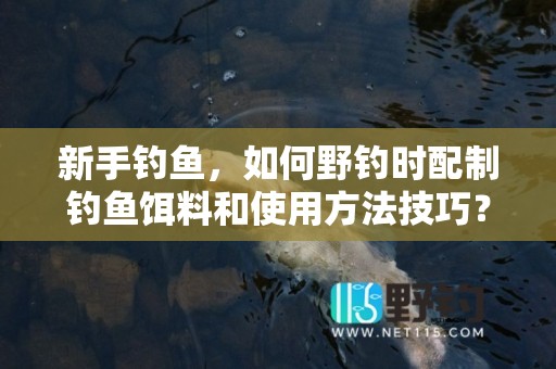 新手钓鱼，如何野钓时配制钓鱼饵料和使用方法技巧？（腥香饵料状态粉小药搭配）