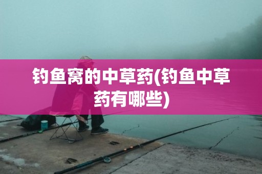 钓鱼窝的中草药(钓鱼中草药有哪些)