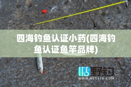 四海钓鱼认证小药(四海钓鱼认证鱼竿品牌)