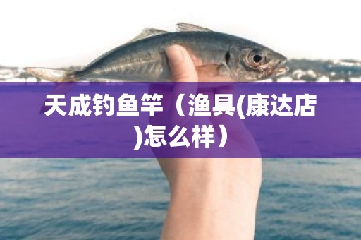 天成钓鱼竿（渔具(康达店)怎么样）