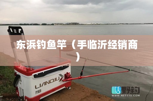 东浜钓鱼竿（手临沂经销商）