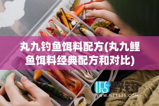 丸九钓鱼饵料配方(丸九鲤鱼饵料经典配方和对比)