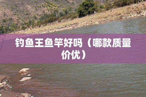 钓鱼王鱼竿好吗（哪款质量价优）