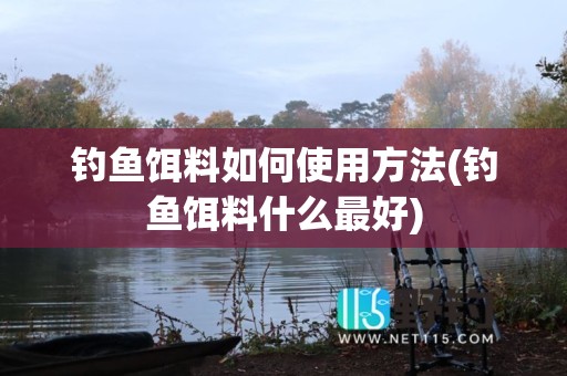 钓鱼饵料如何使用方法(钓鱼饵料什么最好)