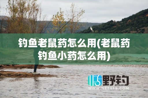 钓鱼老鼠药怎么用(老鼠药钓鱼小药怎么用)