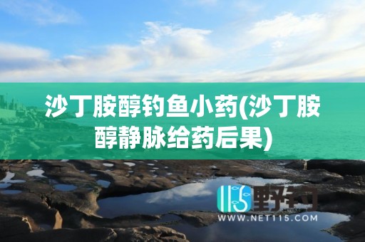 沙丁胺醇钓鱼小药(沙丁胺醇静脉给药后果)