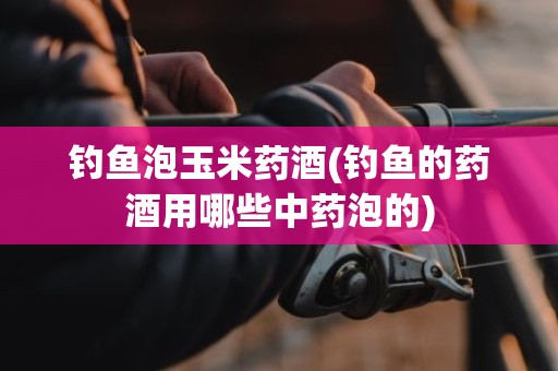 钓鱼泡玉米药酒(钓鱼的药酒用哪些中药泡的)