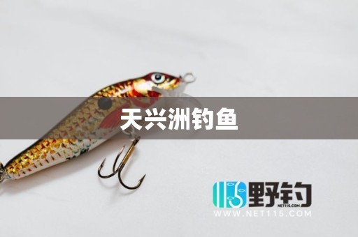 天兴洲钓鱼