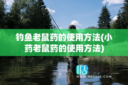 钓鱼老鼠药的使用方法(小药老鼠药的使用方法)
