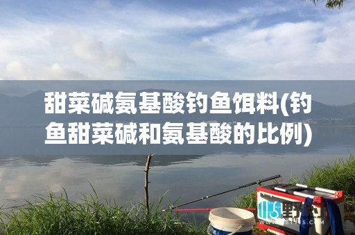 甜菜碱氨基酸钓鱼饵料(钓鱼甜菜碱和氨基酸的比例)