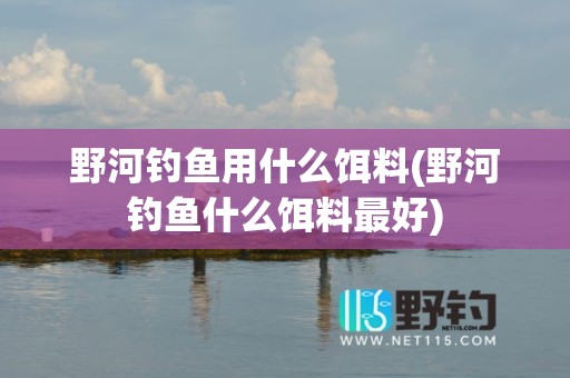 野河钓鱼用什么饵料(野河钓鱼什么饵料最好)