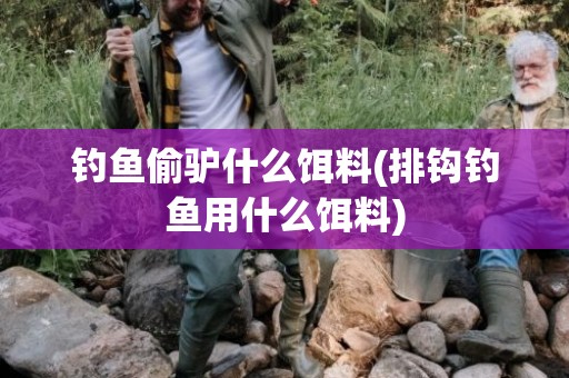 钓鱼偷驴什么饵料(排钩钓鱼用什么饵料)