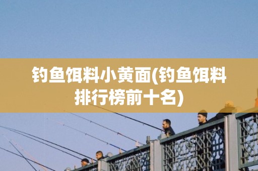 钓鱼饵料小黄面(钓鱼饵料排行榜前十名)