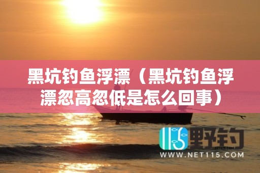 黑坑钓鱼浮漂（黑坑钓鱼浮漂忽高忽低是怎么回事）