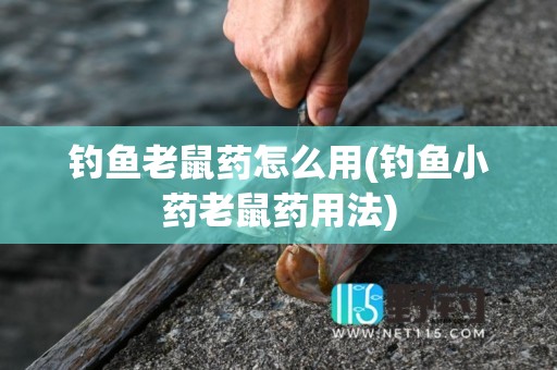 钓鱼老鼠药怎么用(钓鱼小药老鼠药用法)