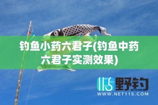 钓鱼小药六君子(钓鱼中药六君子实测效果)