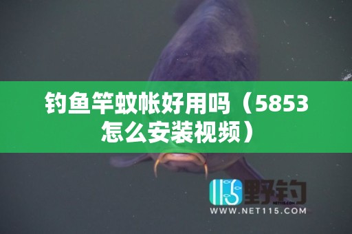 钓鱼竿蚊帐好用吗（5853怎么安装视频）