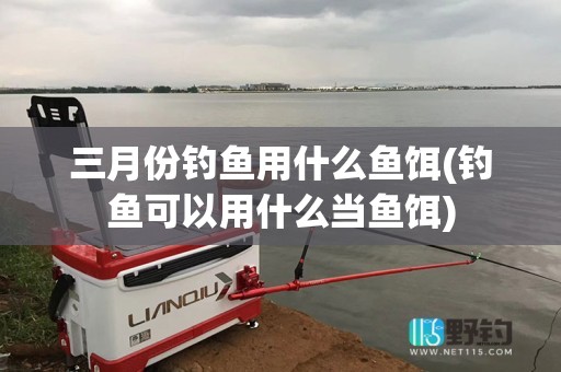 三月份钓鱼用什么鱼饵(钓鱼可以用什么当鱼饵)
