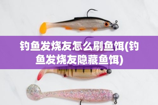 钓鱼发烧友怎么刷鱼饵(钓鱼发烧友隐藏鱼饵)