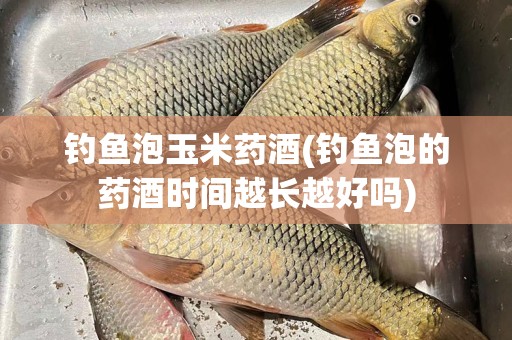 钓鱼泡玉米药酒(钓鱼泡的药酒时间越长越好吗)