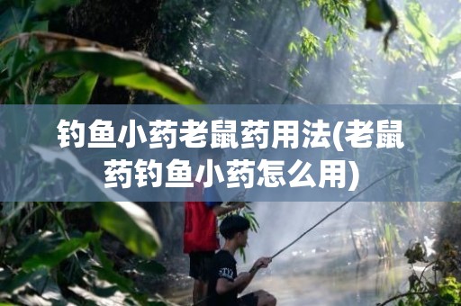 钓鱼小药老鼠药用法(老鼠药钓鱼小药怎么用)