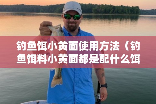 钓鱼饵小黄面使用方法（钓鱼饵料小黄面都是配什么饵料）
