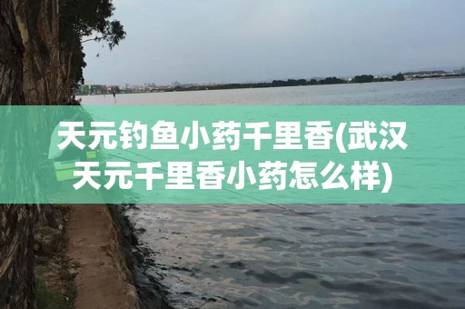 天元钓鱼小药千里香(武汉天元千里香小药怎么样)