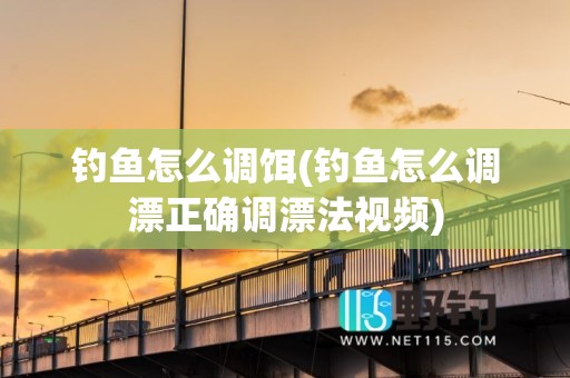 钓鱼怎么调饵(钓鱼怎么调漂正确调漂法视频)
