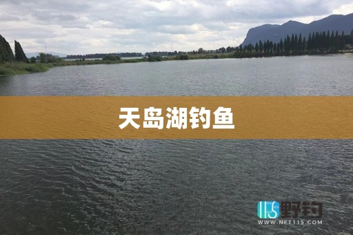 天岛湖钓鱼