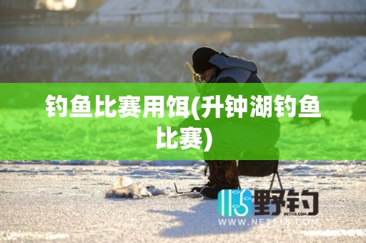 钓鱼比赛用饵(升钟湖钓鱼比赛)