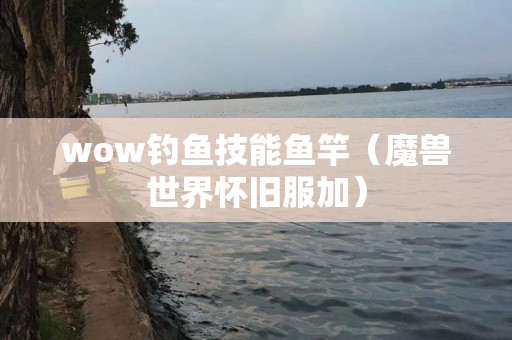 wow钓鱼技能鱼竿（魔兽世界怀旧服加）