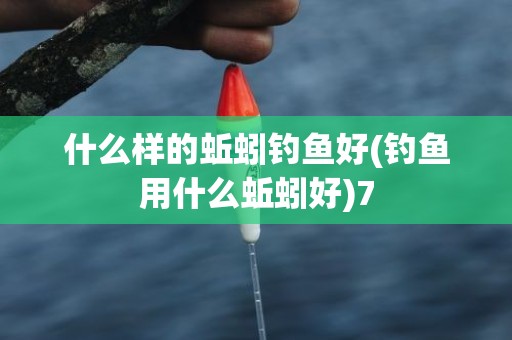什么样的蚯蚓钓鱼好(钓鱼用什么蚯蚓好)7