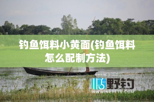 钓鱼饵料小黄面(钓鱼饵料怎么配制方法)