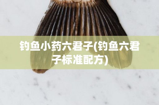 钓鱼小药六君子(钓鱼六君子标准配方)