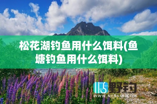 松花湖钓鱼用什么饵料(鱼塘钓鱼用什么饵料)