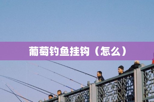 葡萄钓鱼挂钩（怎么）