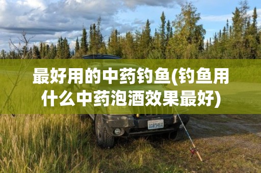 最好用的中药钓鱼(钓鱼用什么中药泡酒效果最好)