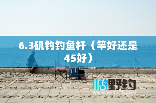 6.3矶钓钓鱼杆（竿好还是45好）