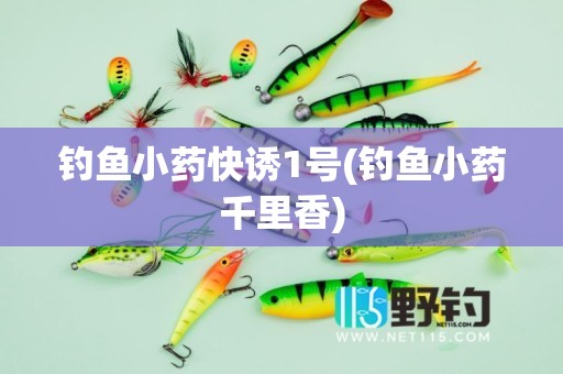 钓鱼小药快诱1号(钓鱼小药千里香)