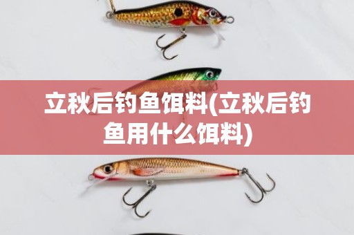 立秋后钓鱼饵料(立秋后钓鱼用什么饵料)
