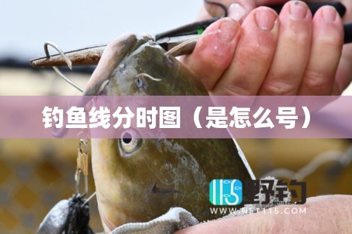 钓鱼线分时图（是怎么号）