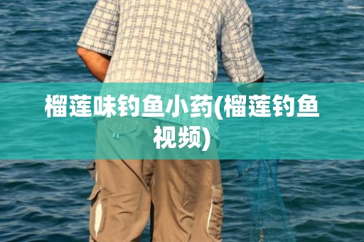 榴莲味钓鱼小药(榴莲钓鱼视频)