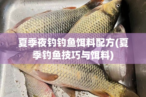 夏季夜钓钓鱼饵料配方(夏季钓鱼技巧与饵料)