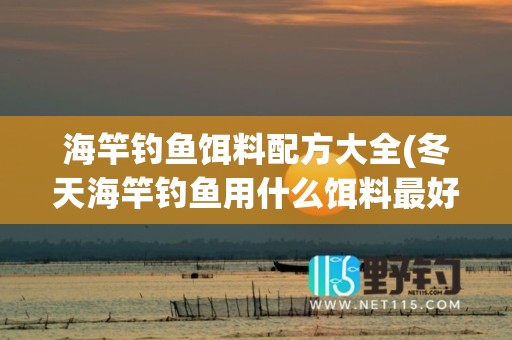 海竿钓鱼饵料配方大全(冬天海竿钓鱼用什么饵料最好)