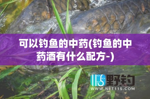 可以钓鱼的中药(钓鱼的中药酒有什么配方-)