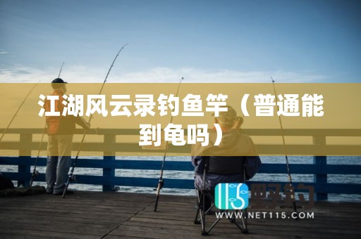 江湖风云录钓鱼竿（普通能到龟吗）